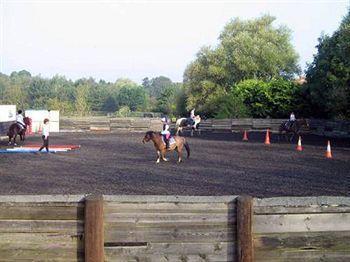 Willowbrook Riding Centre Chichester Exteriör bild